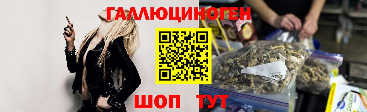 Самара  Галлюциногенные грибы Psilocybe  Вход с VPN 